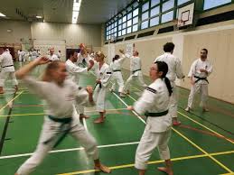 Image result for Peterborough Shorinji Kempo Club