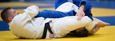 Image result for Court Lane Judo Club