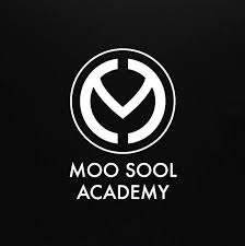 Image result for Moo Sool Academy