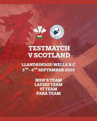 Image result for Llandrindod Wells Bowling Club