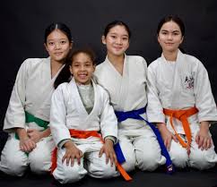 Image result for Anfield Youth Activity Centre Judo Club