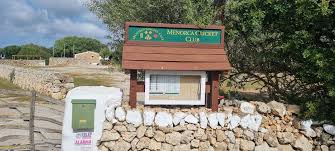 Image result for Runnymede Rascals Cricket Club