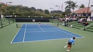 Image result for Sandford Tennis Club