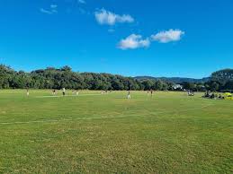 Image result for Hadlow Cricket Club