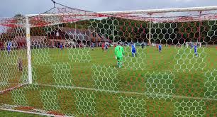 Image result for Hassocks Ladies FC