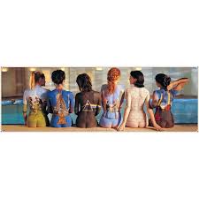 Image result for pink floyd girls