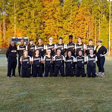 Image result for Cheetahs Softball Team