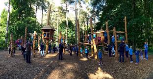 Image result for Go Ape! Thetford