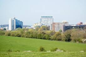 Image result for Basingstoke Sc