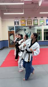 Image result for White Tiger Martial Arts