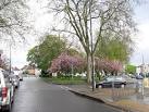 The roundabout at its junction with Blackboys Road and Philip Lane - via Daymix
