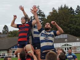 Image result for Furness Rugby Union Football Club Ltd