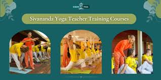 Image result for Affiliated Sivananva Yoga Teacher