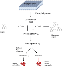 Image result for Unsworth Cc