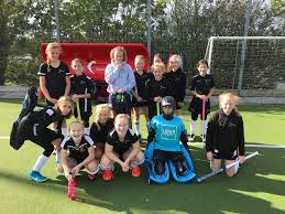 Image result for Fareham Hockey Club Limited