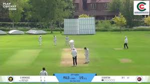 Image result for Mildenhall Cricket Club