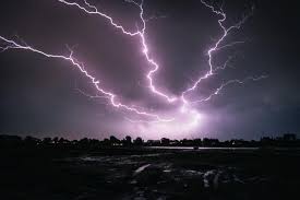 Image result for Sussex Thunder