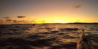 Image result for Falmouth Canoe Club