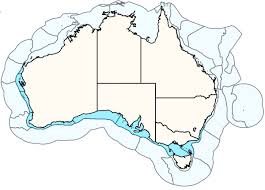 Image result for Furgaleus macki