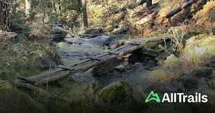 「parque los chor」の画像検索結果