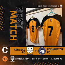 Image result for Ashtead Football Club