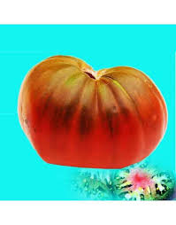 Afbeeldingsresultaat voor black sea man tomato