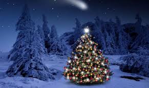 Kết quả hình ảnh cho hinh anh