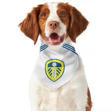 Image result for Leeds Mad Dogs