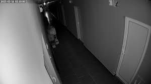 Image result for ball lightning