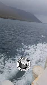Image result for Bargoed Sea Anglers