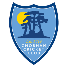 Image result for Worplesdon & Burpham Cricket Club