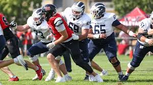 Image result for Hamilton Panthers Association Football Club