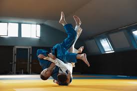 Image result for Middletown Martial Arts Dojo