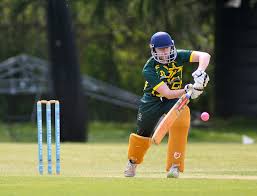Image result for Belstone Cricket Club