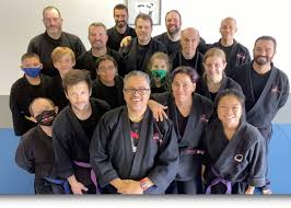 Image result for Aj Independent Martial Arts
