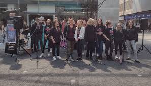 Image result for Basingstoke Sc