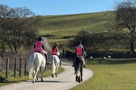 Image result for Shey Copse Riding Centre