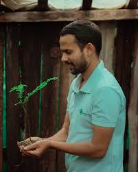 Attēlu rezultāti vaicājumam “Trichia contorta young”