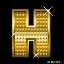 Image result for        H