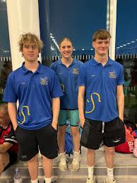 Image result for Aylesbury and District Sc