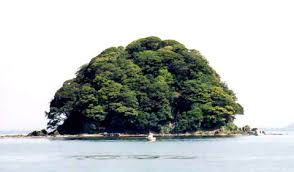 「青島蒼一」の画像検索結果