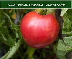 Afbeeldingsresultaat voor anna russian tomato