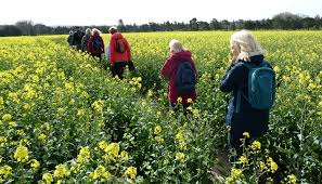 Image result for Bournemouth and Poole Rambling Club