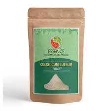 Attēlu rezultāti vaicājumam “Colchicum luteum”