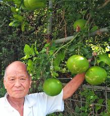 Image result for 名物糞コテ