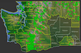 Attēlu rezultāti vaicājumam “Bryoria capillaris”