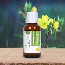 Attēlu rezultāti vaicājumam “Oenothera biennis bud”