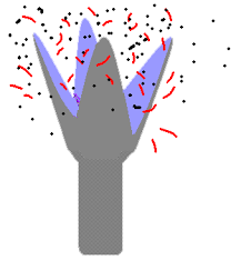 Attēlu rezultāti vaicājumam “Cephalozia bicuspidata sporophyte”