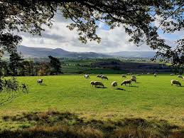 Image result for EXETER RAMBLING CLUB