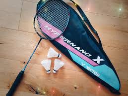 Image result for Dolphin Badminton Club